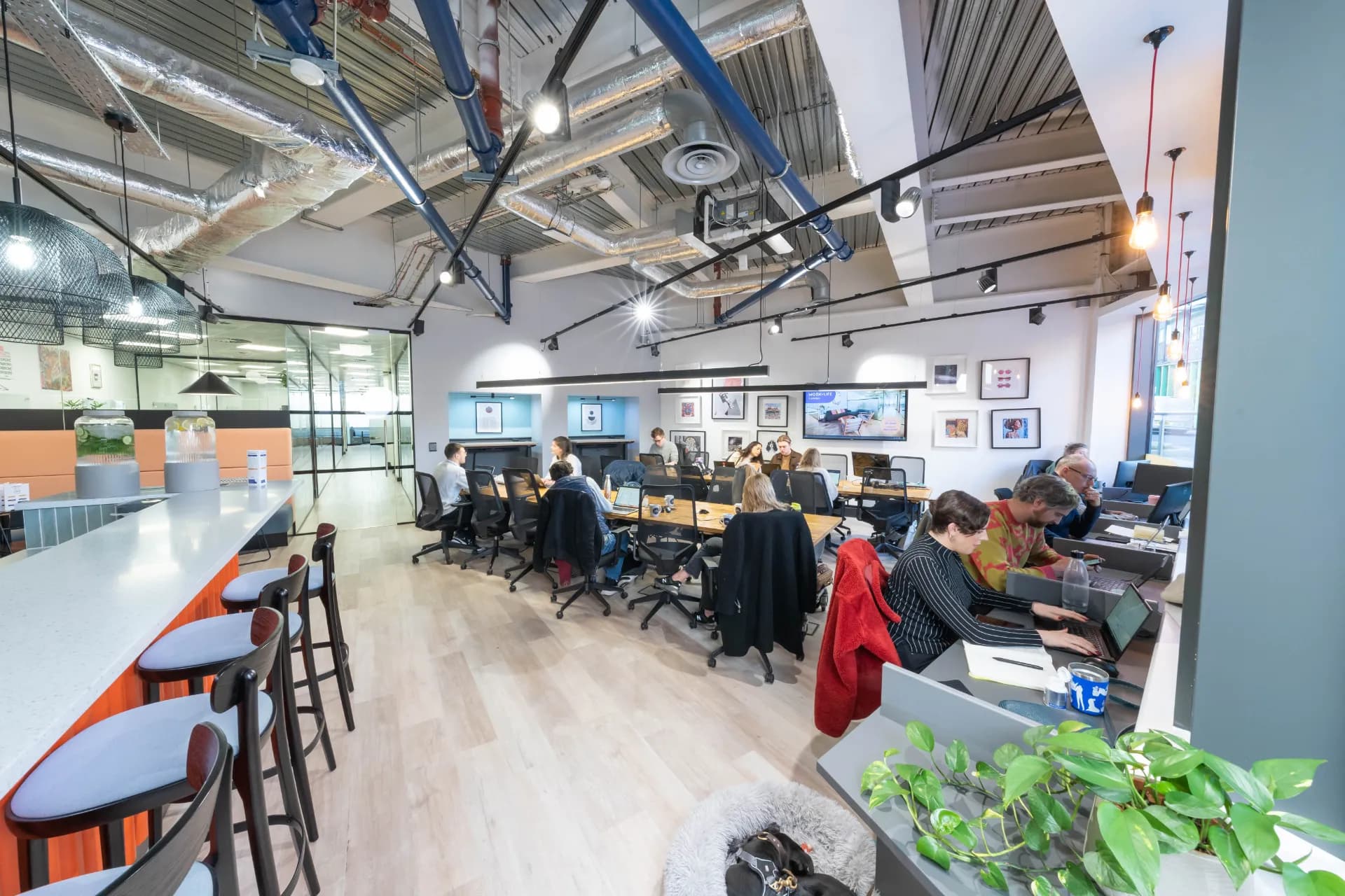 Work.Life Camden